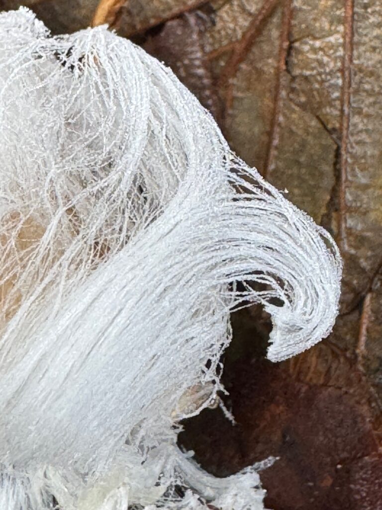 Extreme closeup of wave formation formed of strands of frost.