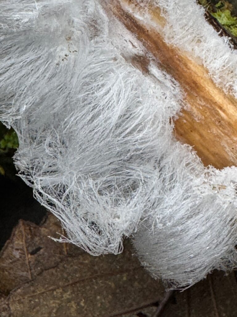 Close-up of frost. You can see each strand.